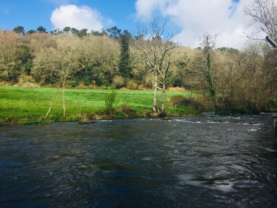 Les rivi&egrave;res caillouteuses oxyg&eacute;n&eacute;es et de bonne qualit&eacute; h&eacute;bergent des populations de petits chabots r&eacute;guli&egrave;rement consomm&eacute;s par les truites