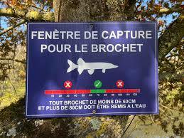 Fen&ecirc;tre de capture ou comment prot&eacute;ger les g&eacute;niteurs 