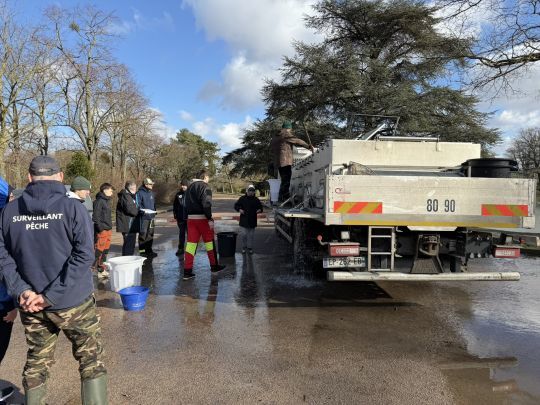 Un camion sp&eacute;cial avec de l'eau bien oxyg&eacute;n&eacute;e permet de transporter les poissons sans stress.
