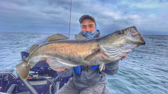 P&ecirc;cher profond permet de capturer des poissons records. Malheureusement, la remise &agrave; l'eau de ceux-ci est impossible.