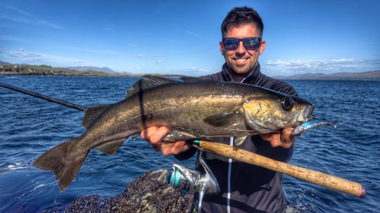 L'Irlande est le paradis pour la p&ecirc;che du lieu jaune du bord.