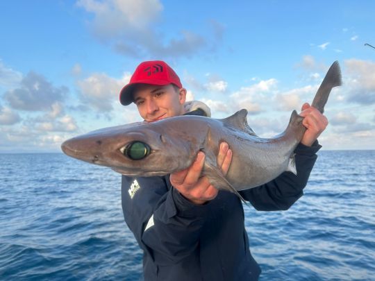 Deux nageoires dorsales pr&eacute;c&eacute;d&eacute;es d'&eacute;pines.