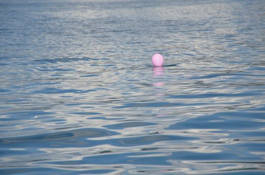 Contr&ocirc;ler la profondeur de nage du vif.