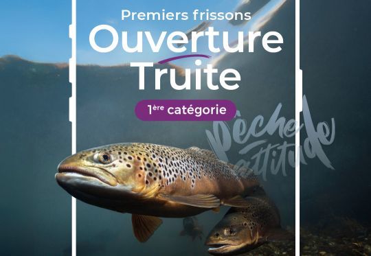 La semaine pr&eacute;c&eacute;dant l'ouverture de la p&ecirc;che de la truite, plusieurs dizaines de milliers de cartes sont prises chaque jour.