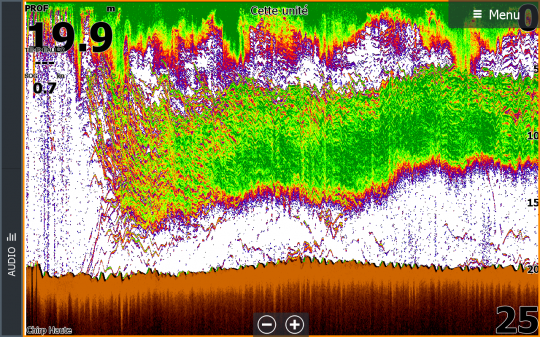 Dans la continuit&eacute; de la capture pr&eacute;c&eacute;dente, sur la m&ecirc;me zone mais quelques instants plus tard. Il y avait une chasse d'oiseaux de grande ampleur sur la zone.  Capture 6