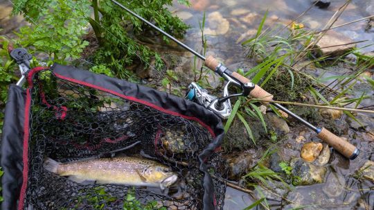 Cet ensemble l&eacute;ger permet de p&ecirc;cher sans se fatiguer. L'action de la canne est vraiment importante pour &eacute;viter de d&eacute;crocher les poissons.