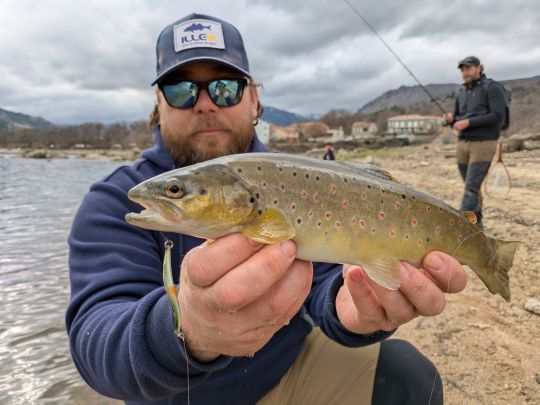 Une belle truite &agrave; la Illex Tricoroll Spoon pour Christian