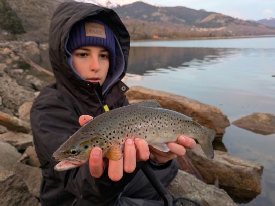 Marc nou spr&eacute;sente une truite leurr&eacute;e &agrave; la Tricoroll Spoon au coup du matin