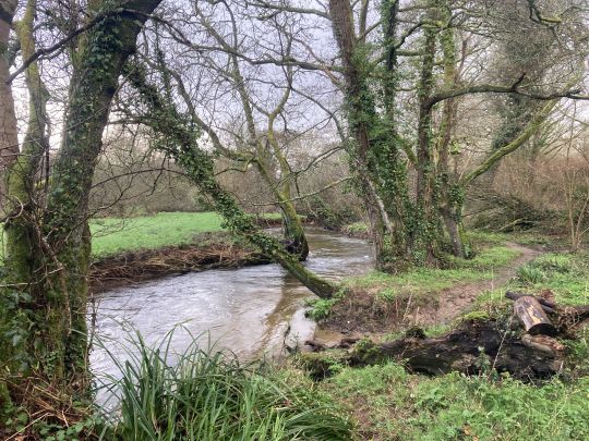 L'ouverture est surtout en moment de retrouvaille avec les rivi&egrave;res