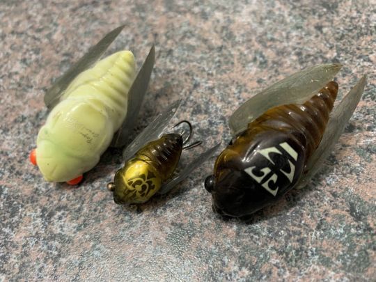 Grand et Nano Siglett