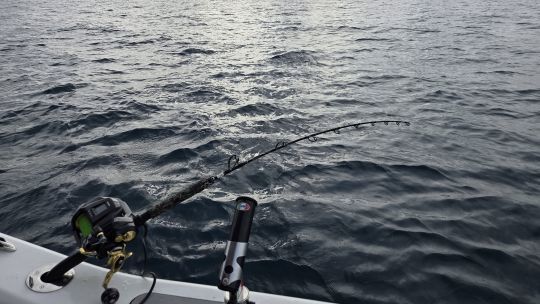 Du mat&eacute;riel puissant.