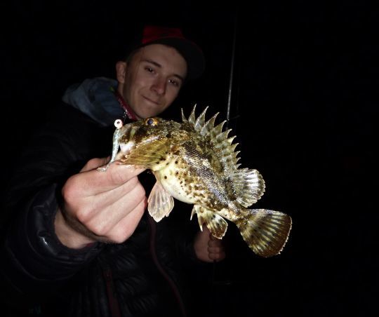 Pratiquer la pêche de nuit.