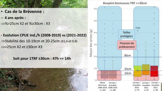 En 2022, la f&eacute;d&eacute;ration de p&ecirc;che du Rh&ocirc;ne avait pr&eacute;sent&eacute; devant les f&eacute;d&eacute;rations de p&ecirc;che r&eacute;unies &agrave; Paris ses conclusions de l'exp&eacute;rimentation de la fen&ecirc;tre de capture de la truite fario sur la Br&eacute;venne et ses affluents. 