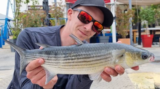 Adapter l'amorce utilis&eacute;e aux poissons recherch&eacute;s.