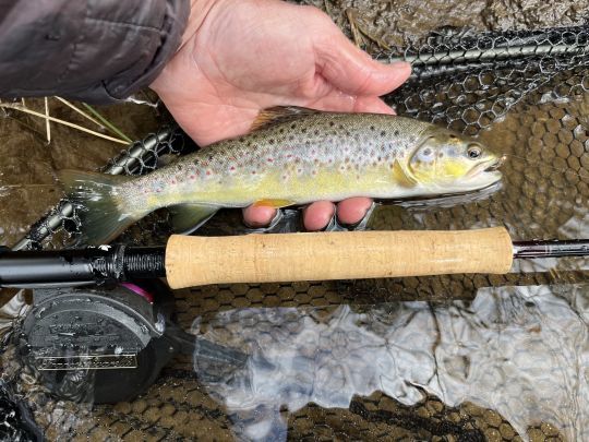 La s&egrave;che-nymphe me permettra de tirer mon &eacute;pingle du jeu dans ces conditions vent&eacute;es! 