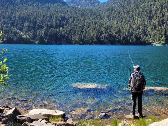 Faire partie d'un tout, apprendre &agrave; lire la nature qui nous entoure.