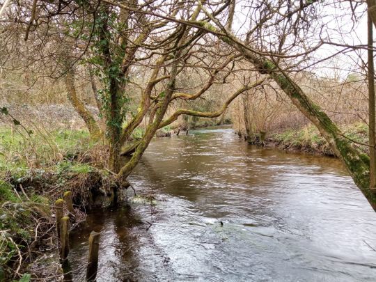 D&egrave;s que cela est possible, je tente d'aborder les postes depuis l'aval afin d'&ecirc;tre le plus discret possible.