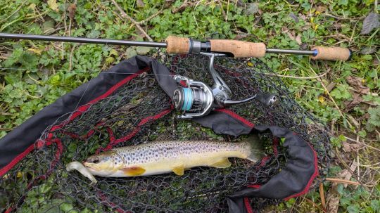 Le Black Minnow 70 permet de p&ecirc;cher lentement, m&ecirc;me dans les zones encombr&eacute;es, afin d'aller d&eacute;loger les poissons post&eacute;s.