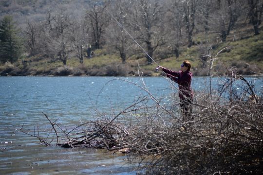 Les objectifs longues focales sont int&eacute;ressant pour les photos d'ambiances