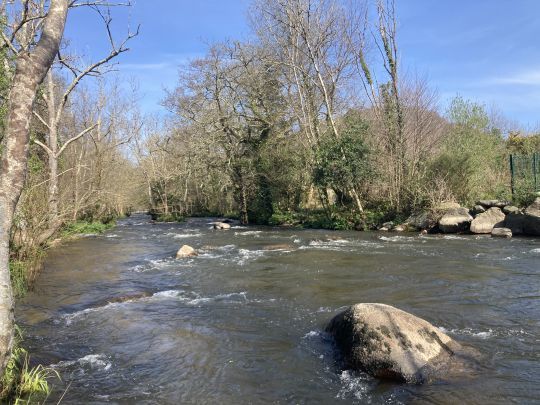 L'Odet proche de Quimper offre un profil vari&eacute; et tr&egrave;s bien adapt&eacute; pour la pratique de la p&ecirc;che en nymphe au fil. Un endroit id&eacute;al pour cette premi&egrave;re Masterclass en Bretagne