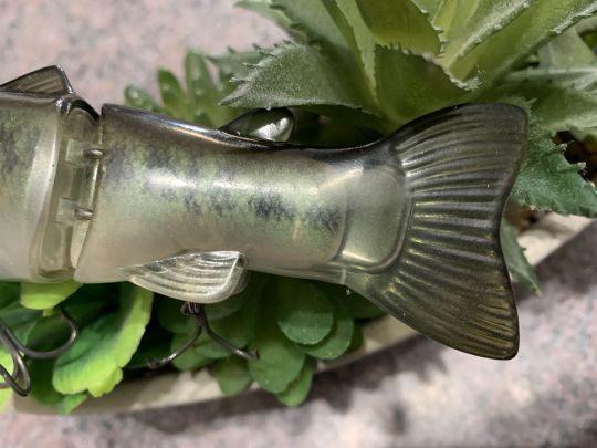 La peau se r&eacute;v&egrave;le r&eacute;sister aux dents des brochets.