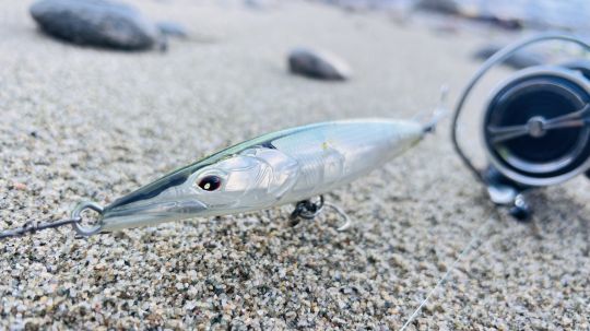 Lorsque les algues sont en surface, l'utilisation d'un leurre de surface peut &ecirc;tre rendue compliqu&eacute;e, voire impossible.