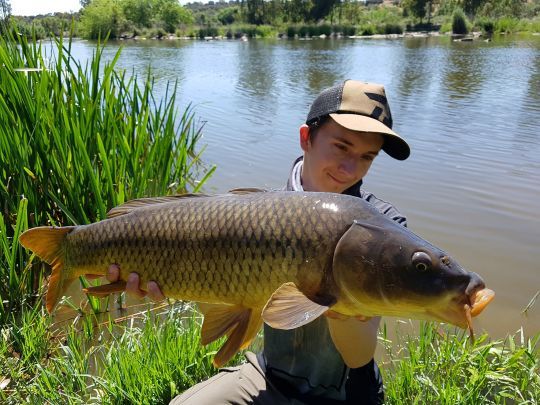 De beaux poissons &agrave; p&ecirc;cher au pain.