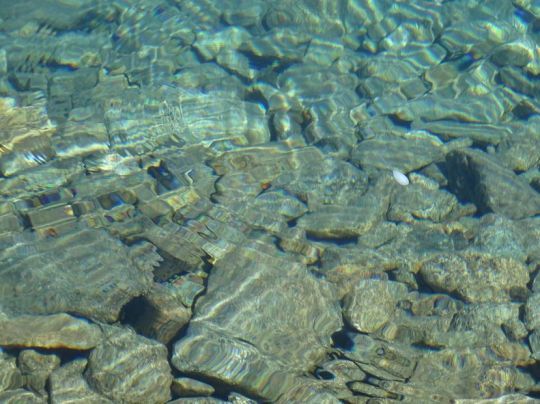 P&ecirc;cher des eaux translucides.