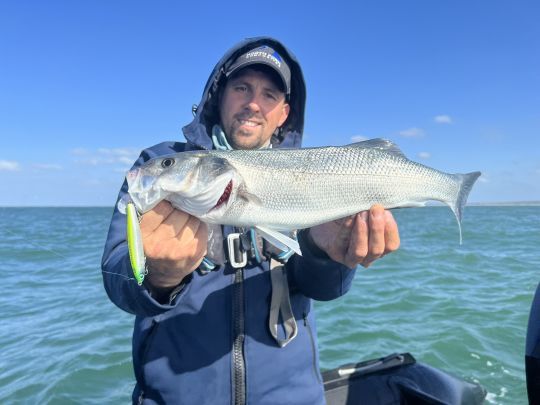 Un des nombreux bars qui a succombé au Power Tail Shallow