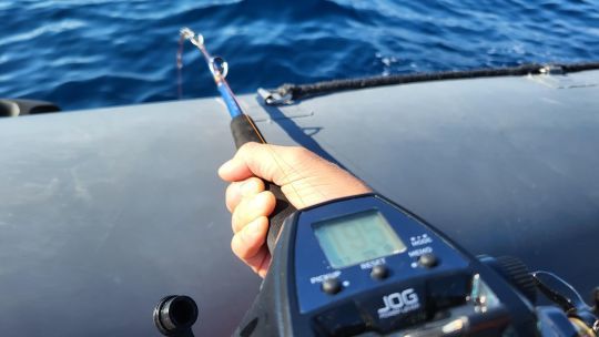 Pour les pêches lourdes au moulinet électrique.