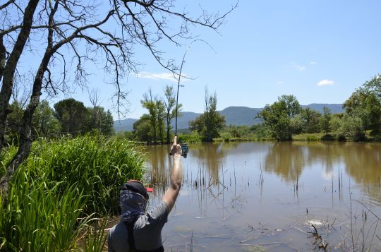 P&ecirc;cher les bordures.