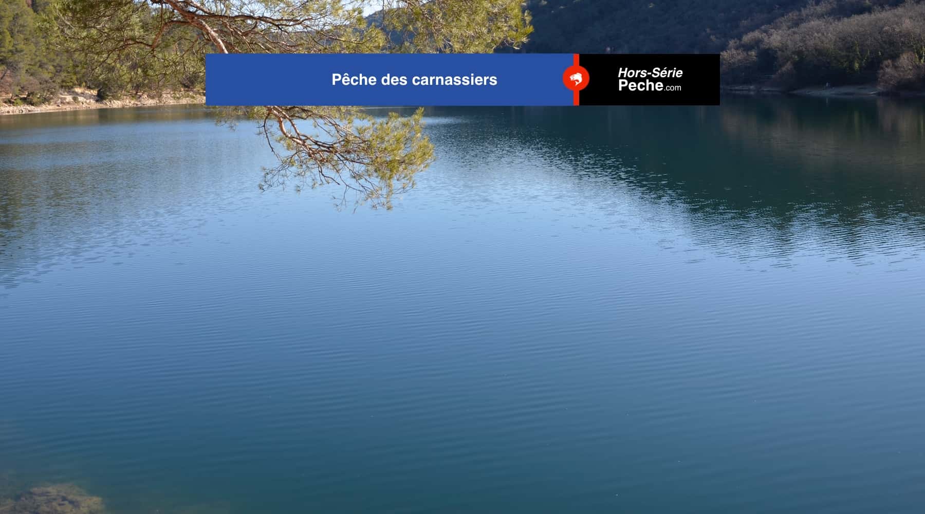Hors-srie pche des carnassiers