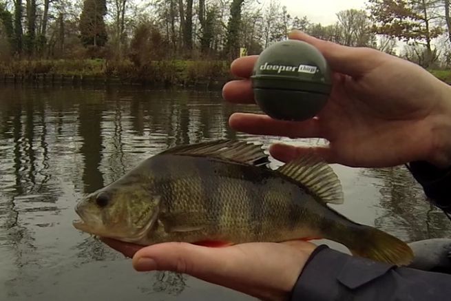 Lire l'article Pêche aux leurres avec le nouveau Deeper CHIRP+