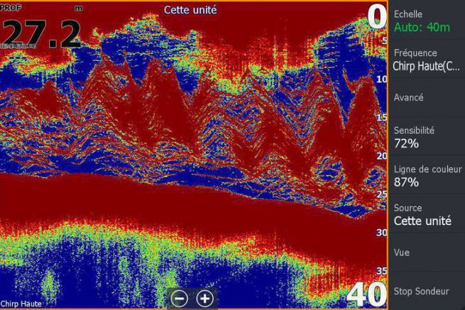 Lire l'article Banc de bar vu avec un sondeur lowrance