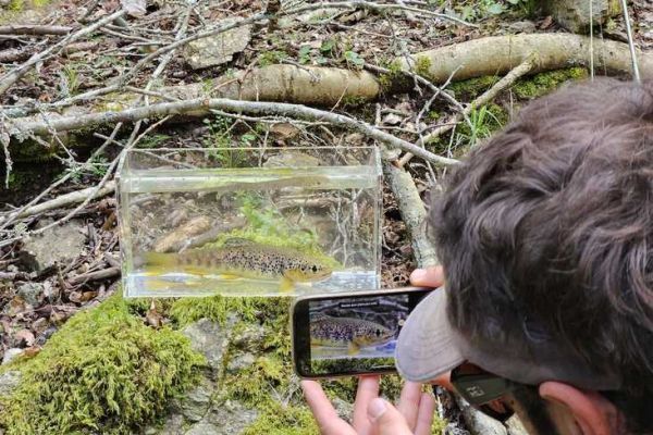Utiliser un nano aquarium  la pche