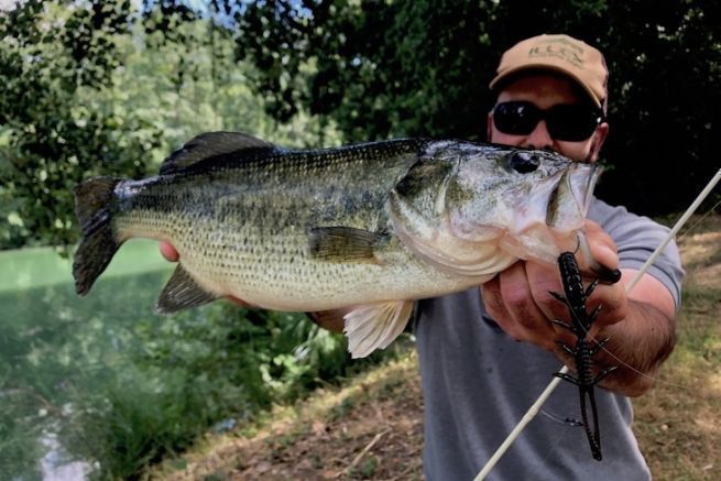 Lire l'article Black-bass pris en Weightless Nose Rig