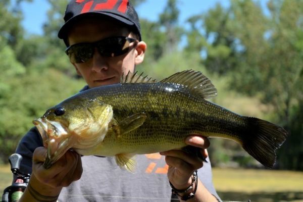 Some basic principles of black bass lure fishing