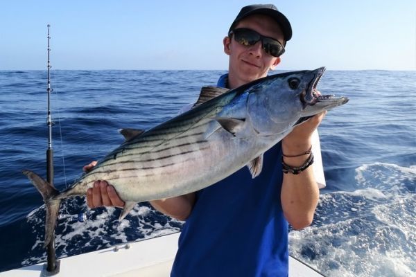 Vertical pelamide fishing for maximum summer pleasure