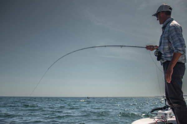Fly-fishing for bass on a boat, a successful outing with friends!