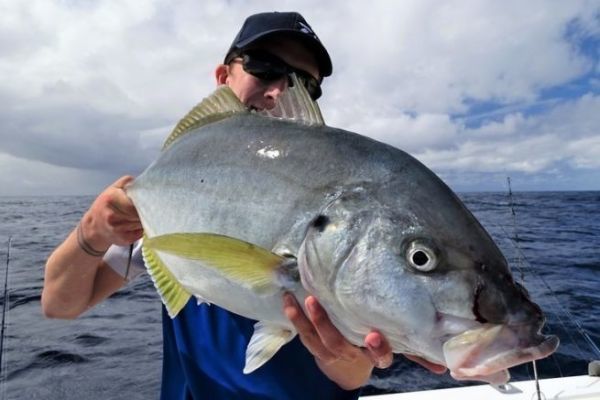3 techniques for fishing in the Canaries from a boat