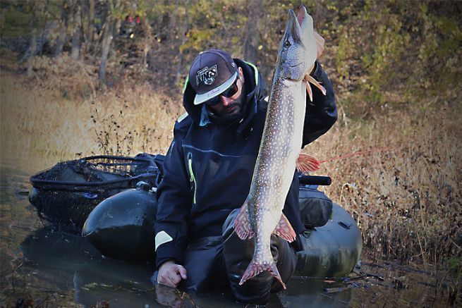 Brochet captur en verticale.