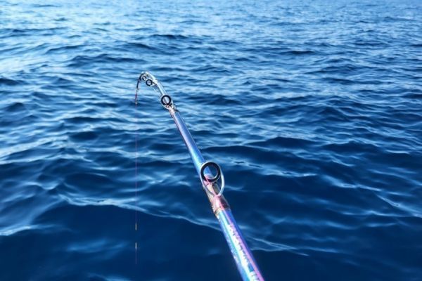 Daiwa Tanacom Boat