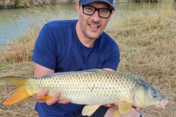 Sweetcorn, a summer bait for carp in small streams