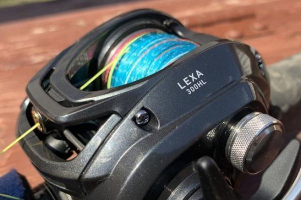 Le Lexa 2024 accepte des leurres jusqu' 250 grammes.