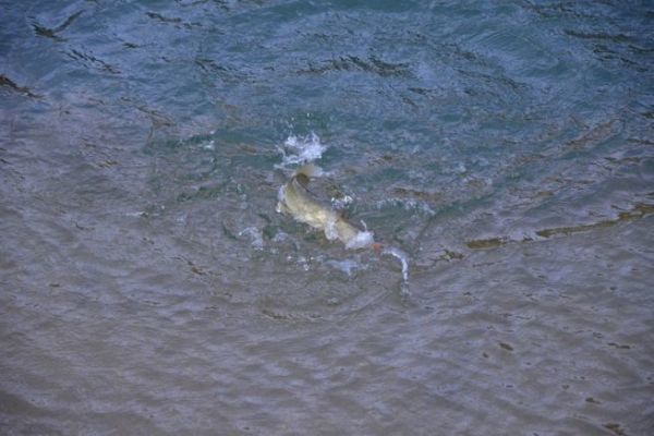 Dbuter la pche en hiver