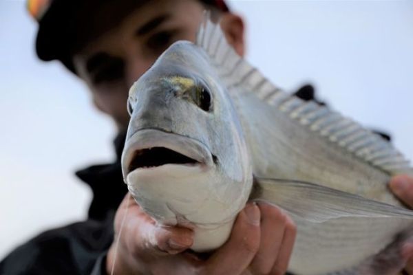 D�buter la p�che en mer