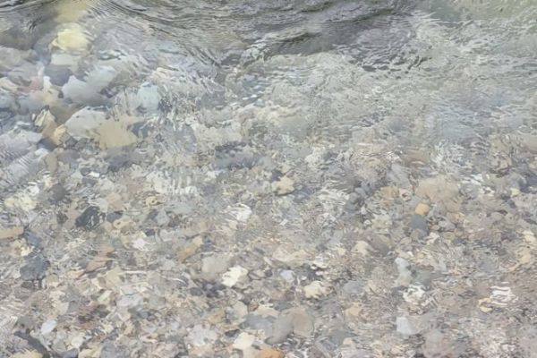 Restaurer les rivires