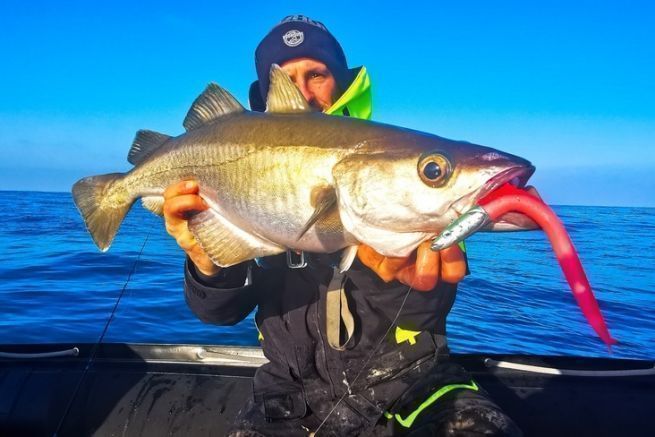 Le Crazy Sand EEL de FIISH est la valeur sre pour la pche du lieu jaune.