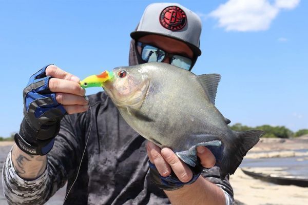 Fishing on the Orinoco, understanding and interpreting the current