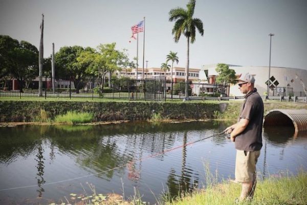 Street fishing in Miami, a gigantic and varied playground!